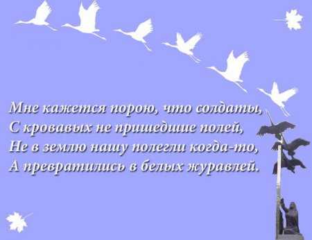 «Белые журавли»: сайт, посвященный погибшим Героям Республики