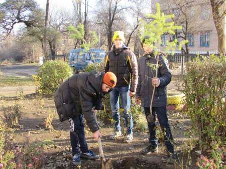 Защити природу: посади дерево!