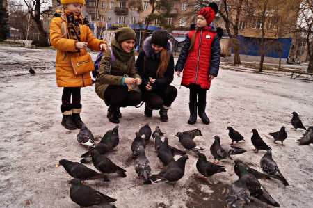 Эко – акция «Покорми птиц зимой»  