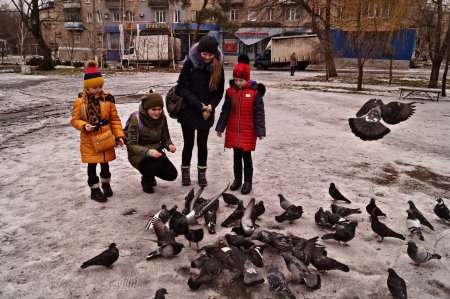 Эко – акция «Покорми птиц зимой»  