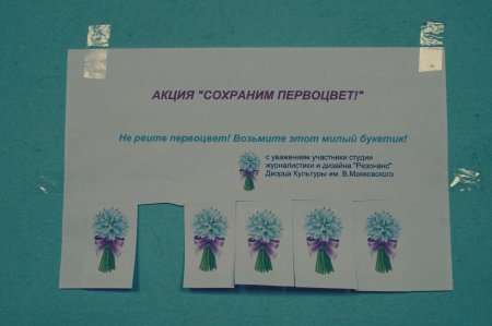 В ТОРЕЗЕ СОСТОЯЛАСЬ АКЦИЯ «СОХРАНИМ ПЕРВОЦВЕТ»